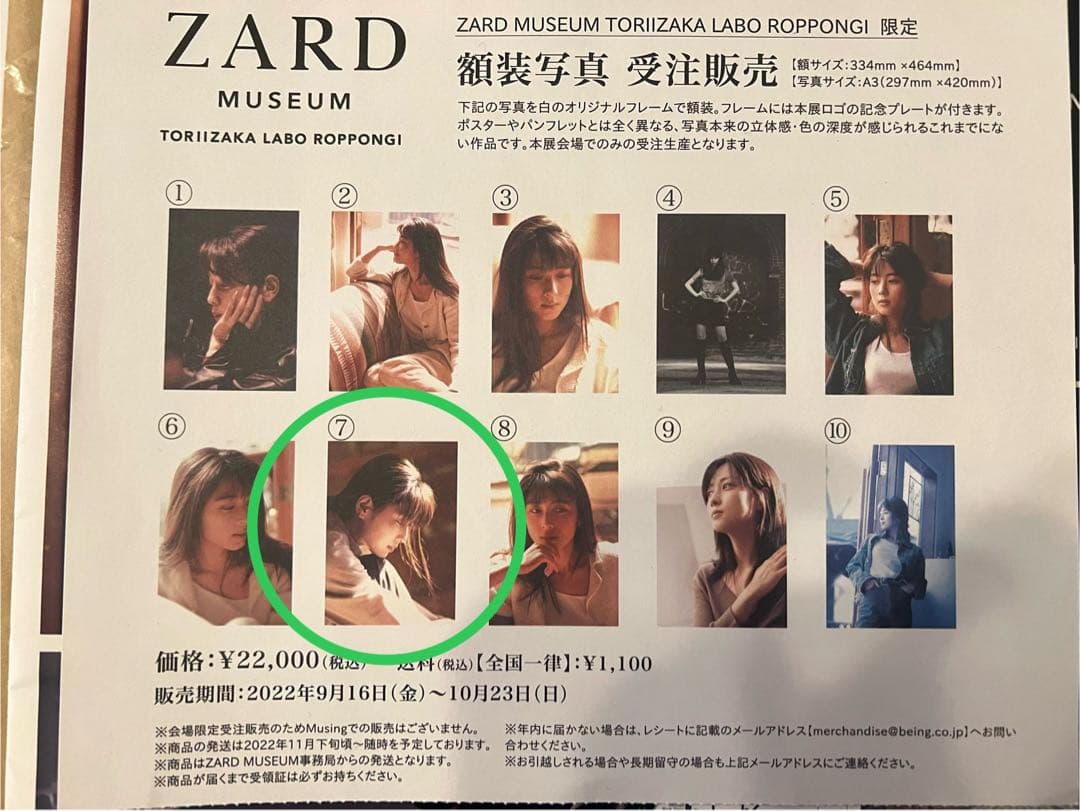 【未使用】ZARD 坂井泉水 額縁写真 A3サイズ