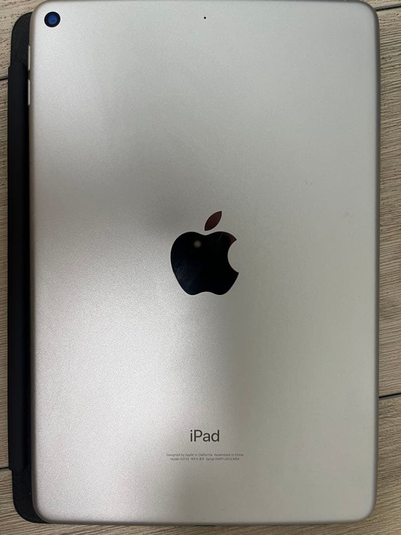 Apple iPad mini 5ー 本体のみ