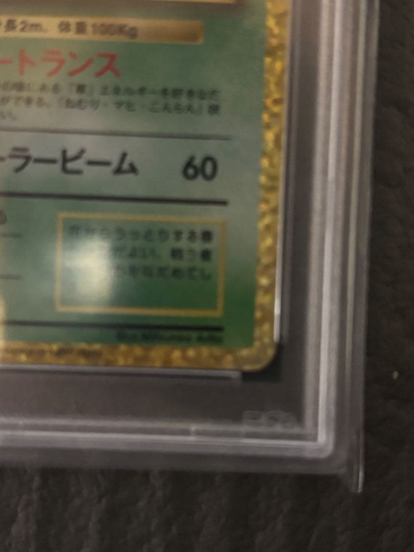 フシギバナ25th psa10