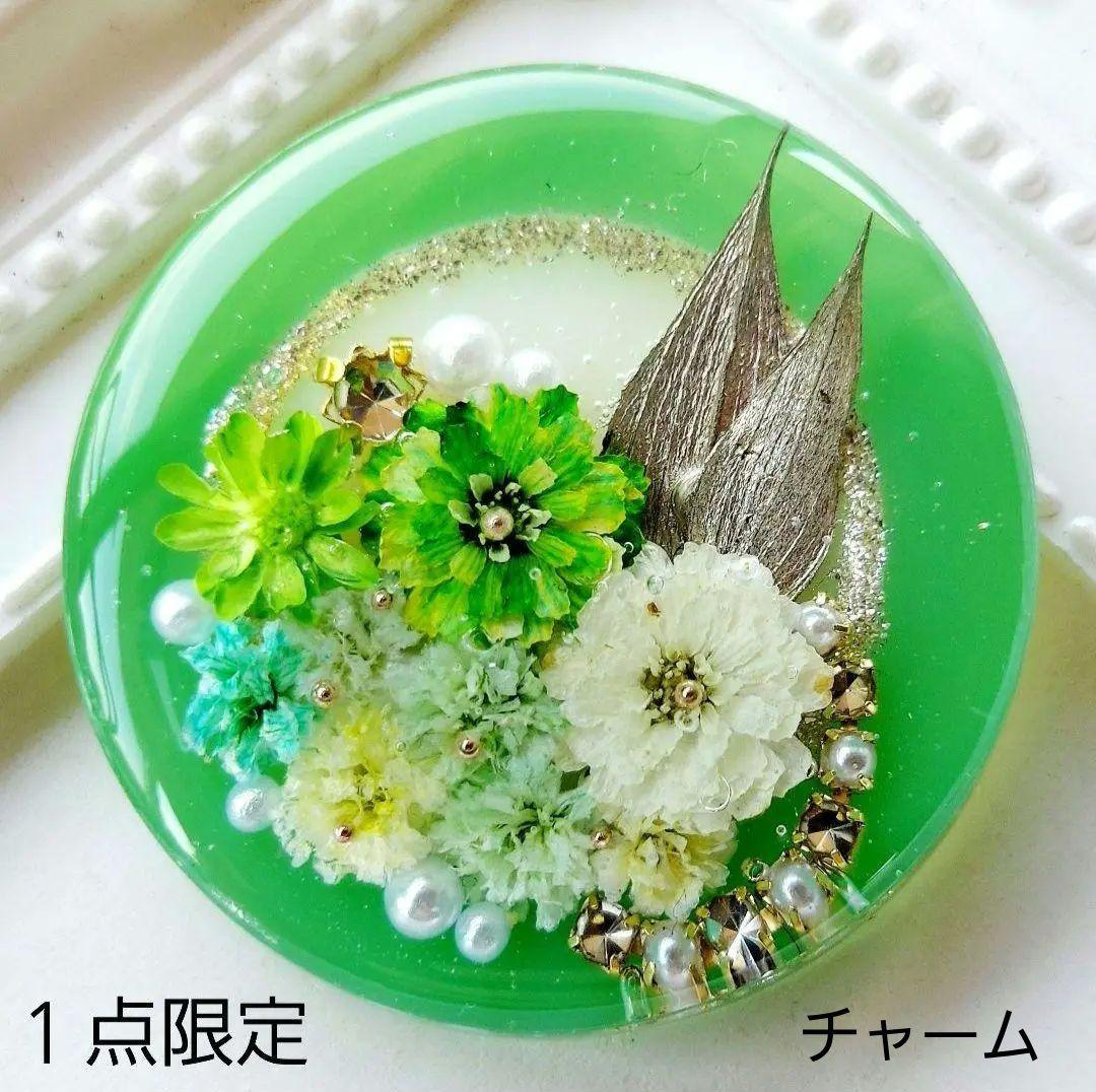 【1604】K☆　レジン　ヘアゴム　ポニーフック　ブロ―チ