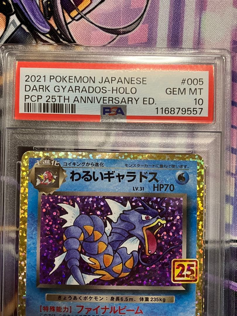 ポケカ　わるいギャラドス　psa10 25th