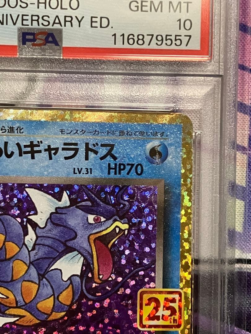 ポケカ　わるいギャラドス　psa10 25th