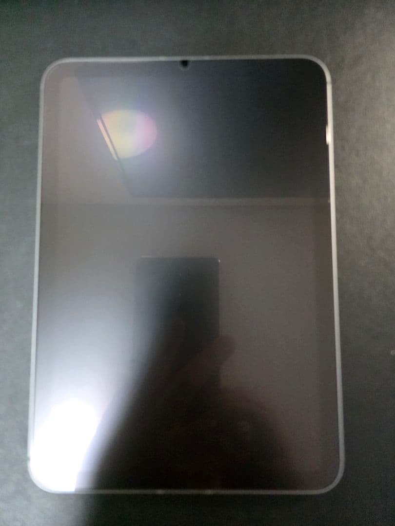 iPad本体 iPad mini7(A17Pro) Wi-Fi + Cellular 256