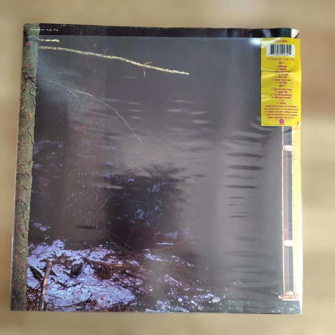 ほ*ん様 The Cranberries　 レコード