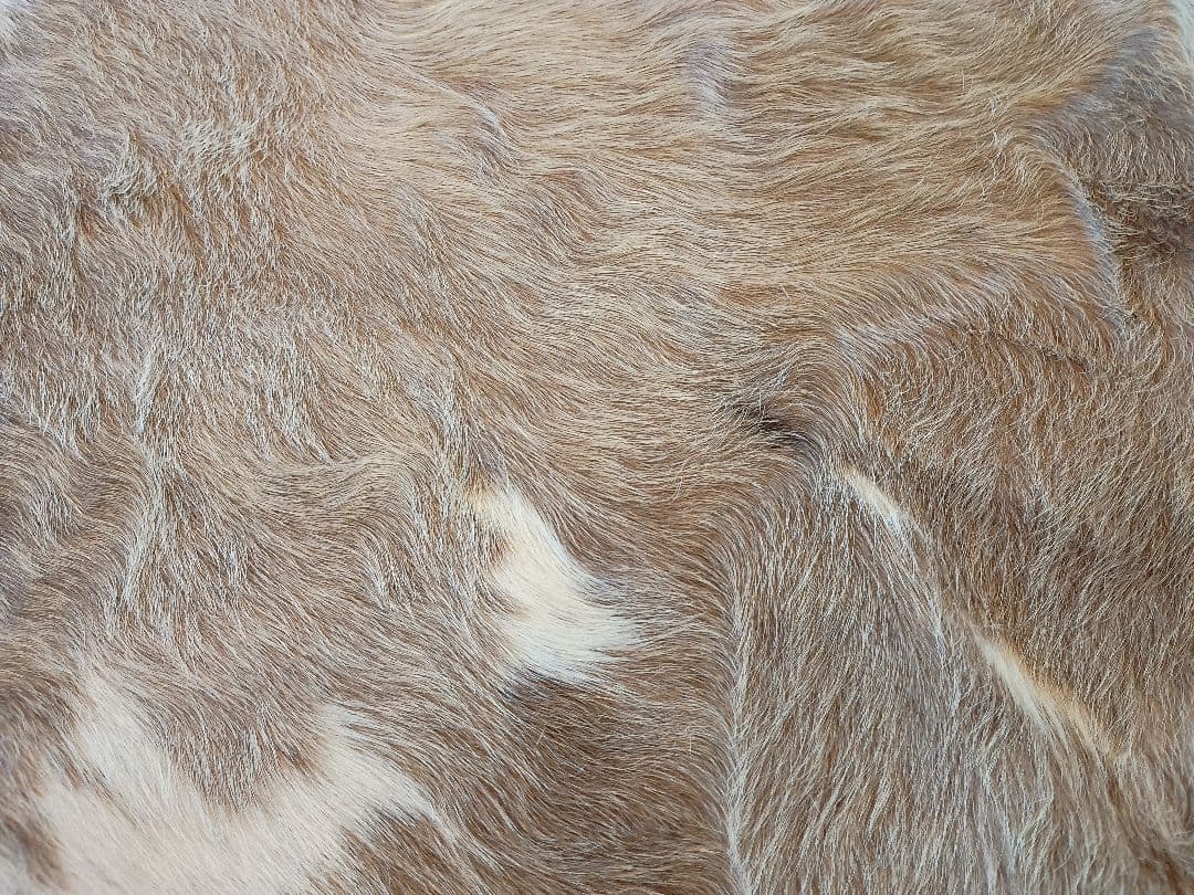 天然牛革ラグ 特大 カウラグ