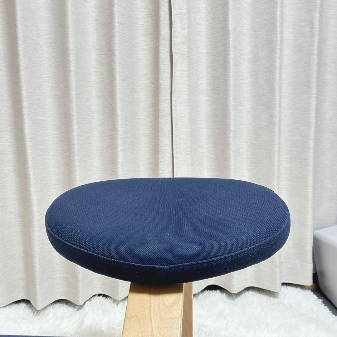 リボ社 サカモトハウス バランスチェア バランスイージー ネイビー