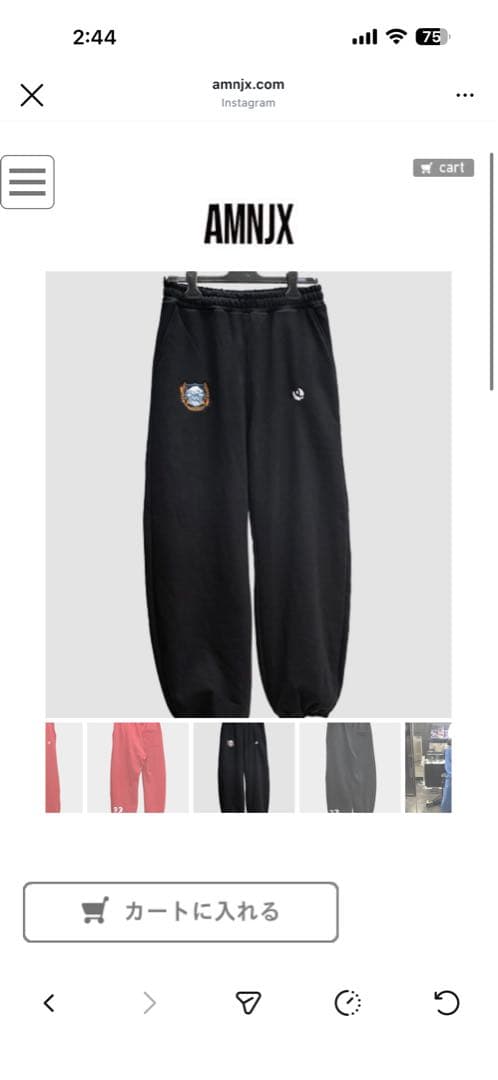 AMNJX セットアップ