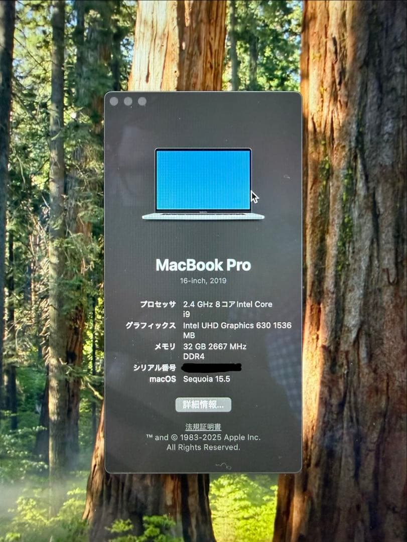 【バッテリー故障】 MacBook Pro 16 i9/32GB/512GB
