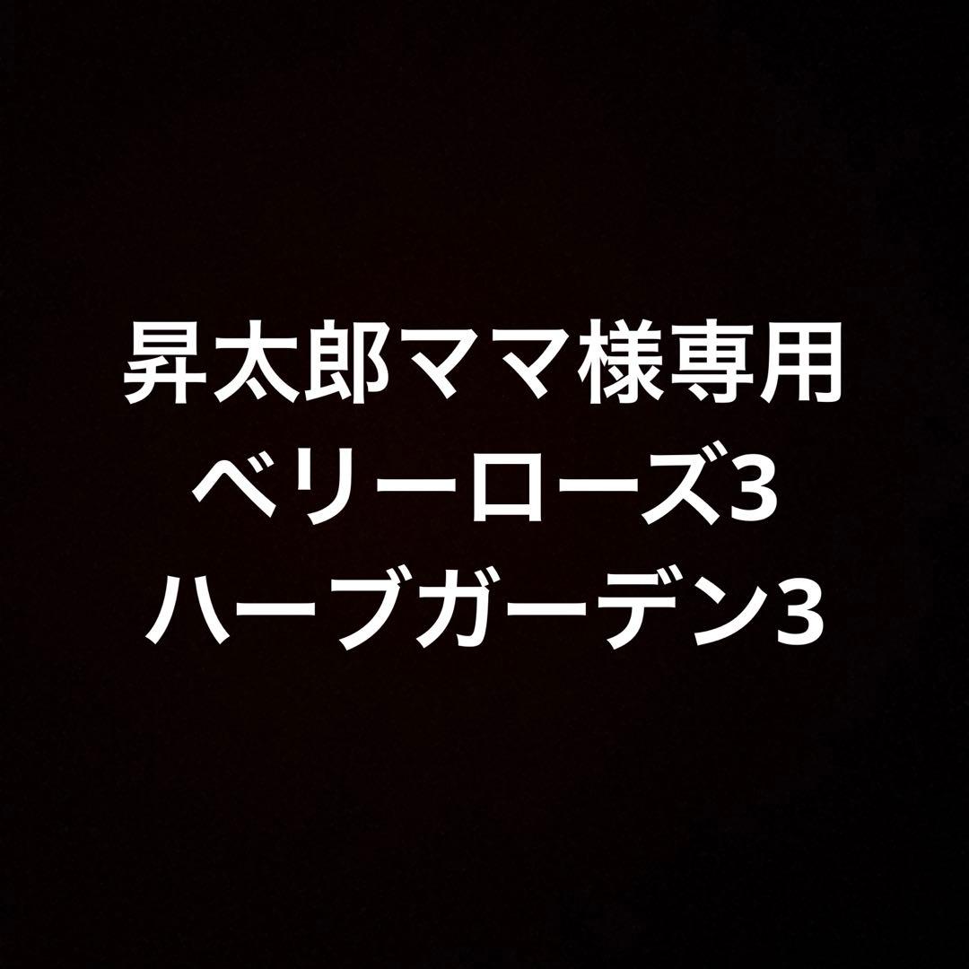 昇太郎ママ