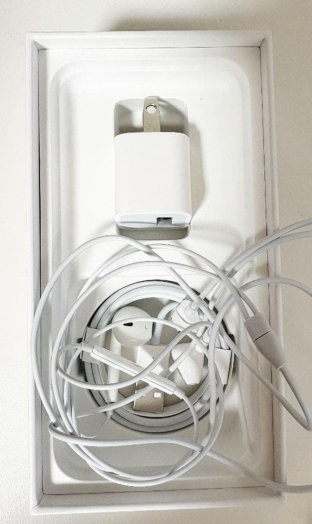 【難あり中古品】iPhoneSE2 本体 充電器・イヤフォン付き　SIMフリー