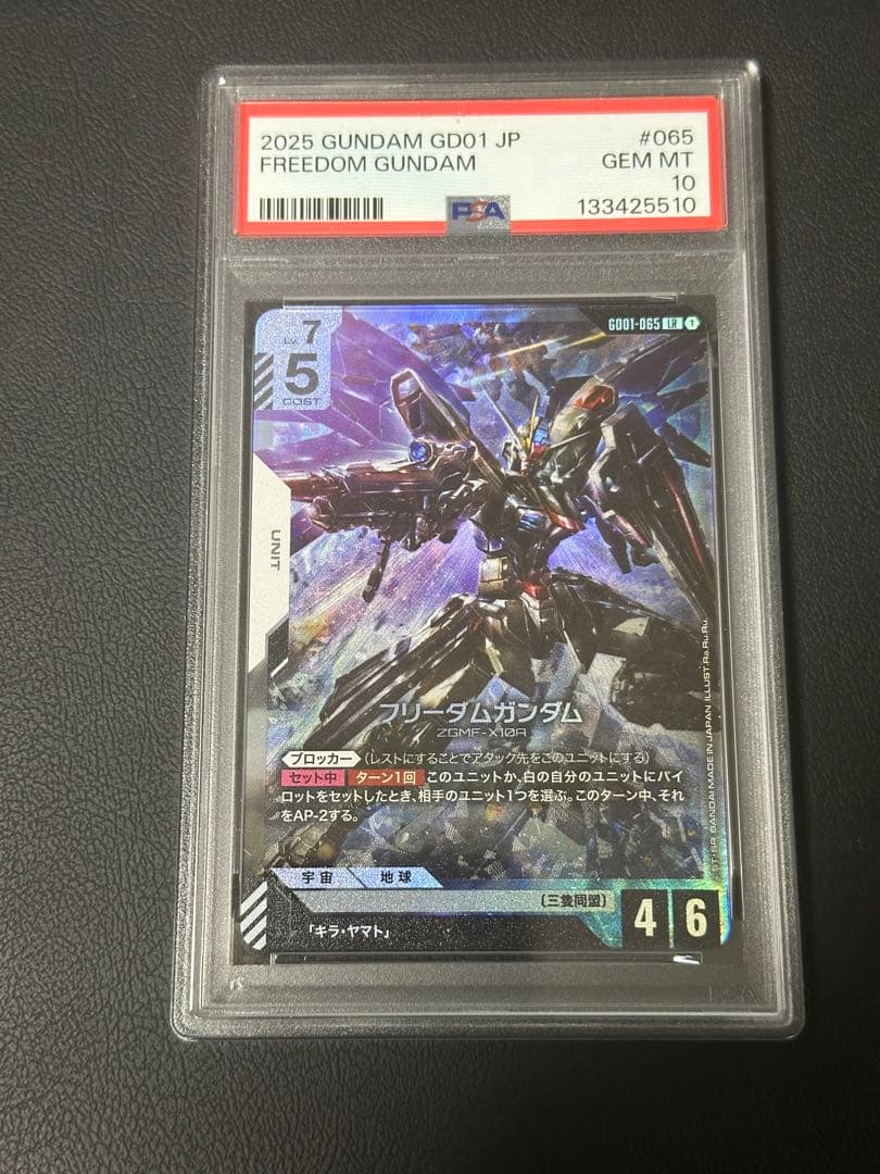 フリーダムガンダム LR PSA10