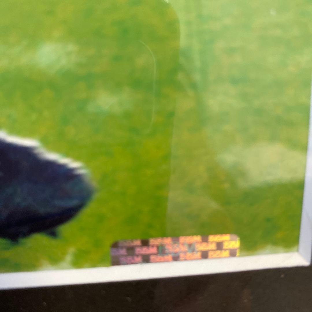 Andrea Pirlo 直筆サイン入り写真パネルBBM刻印　14/30