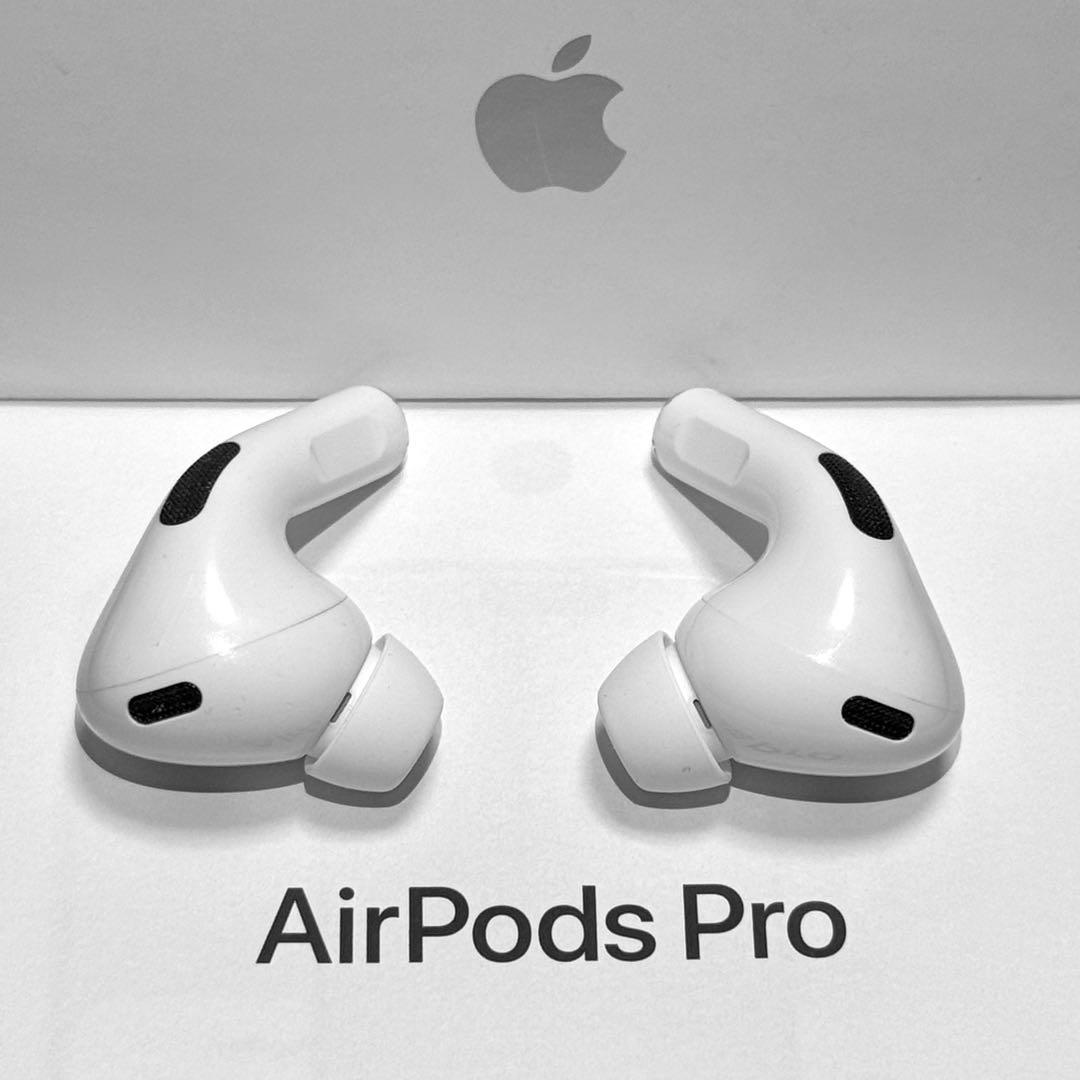 【綺麗】Apple AirPods Pro 第2世代 USB-C イヤホンのみ