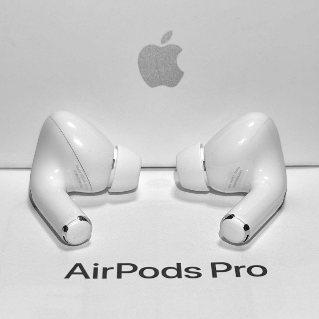 【綺麗】Apple AirPods Pro 第2世代 USB-C イヤホンのみ