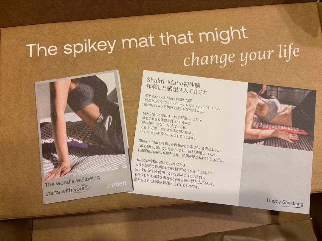 【正規品】shakti マット・枕セット レベル2 黒