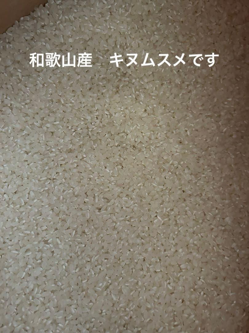 ねこどんです♡令和6年度産のお米とお野菜の詰め合わせ