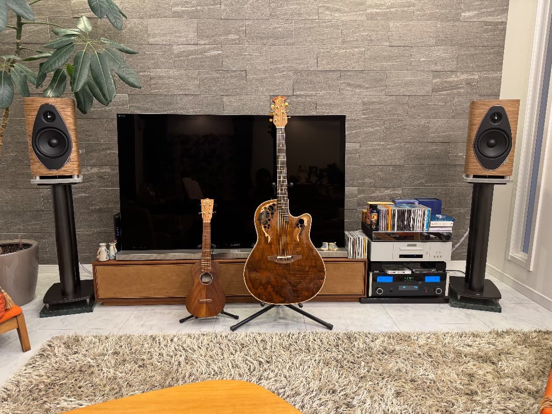 スピーカースタンド DYNAUDIO ディナウディオ純正 スタンド4 他SPも可