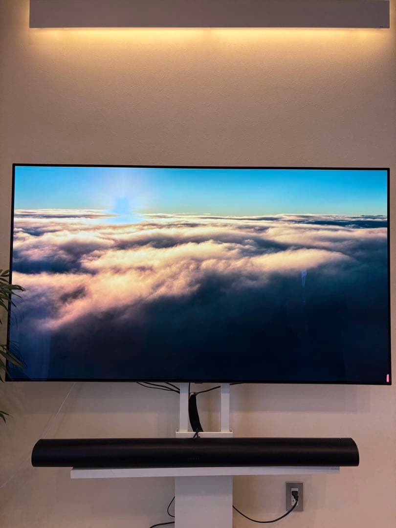 LGの 65インチ有機EL（OLED）テレビのC9シリーズ（2019年モデル）