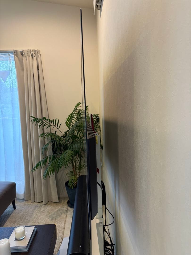 LGの 65インチ有機EL（OLED）テレビのC9シリーズ（2019年モデル）