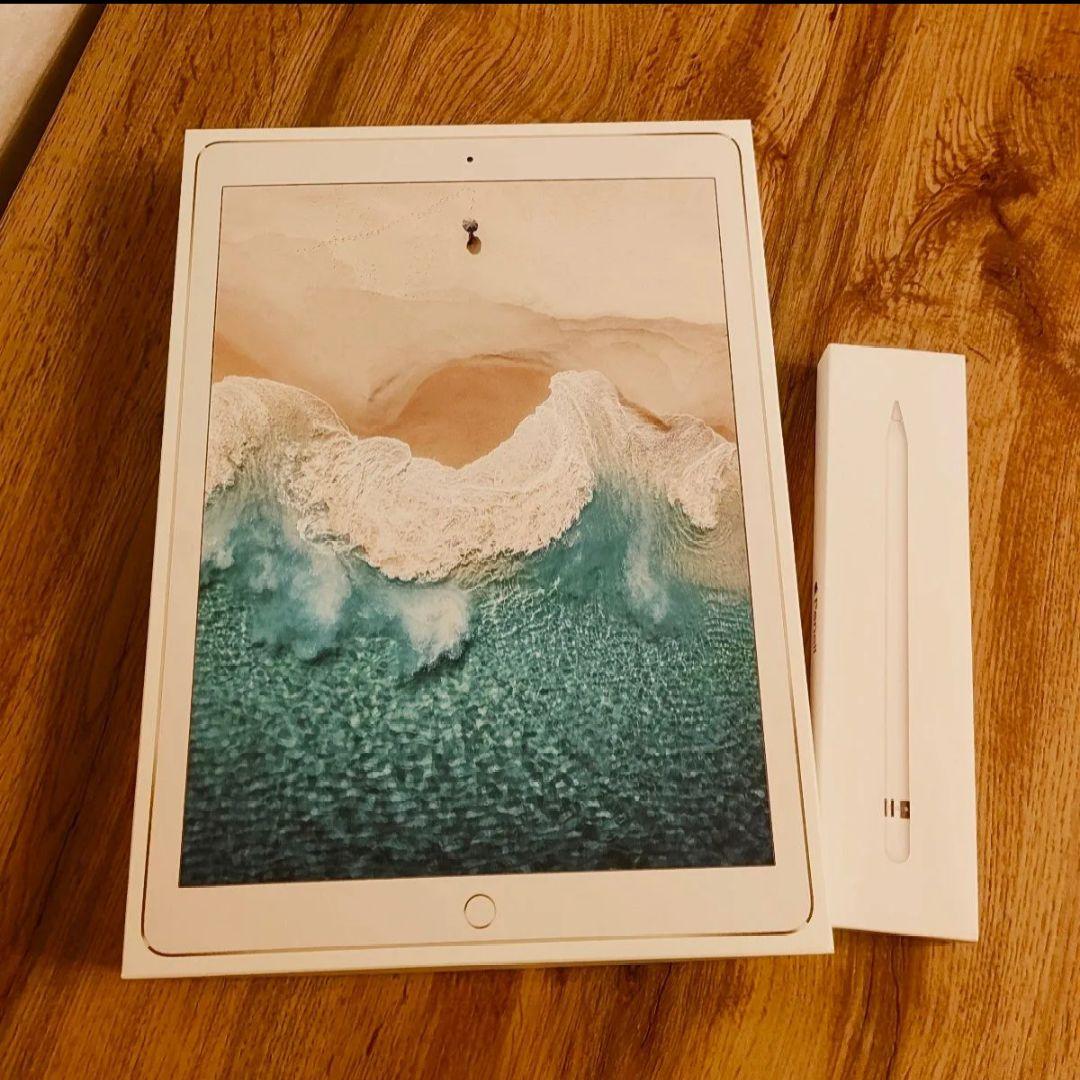 ipadpro 12.9 2017 第二世代 apple pencil 64GB