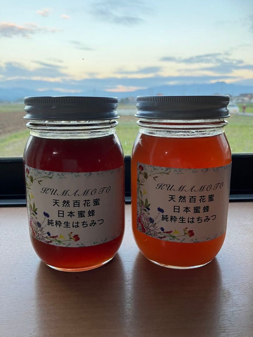 ハチミツ　日本蜜蜂のハチミツ　純粋生の百花蜜　非加熱無添加　(５６０gx2本)