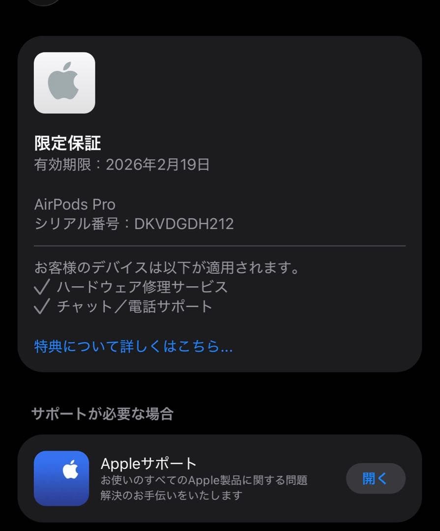 AirPods Pro (第2世代) 本体 保証期間中 USB-C