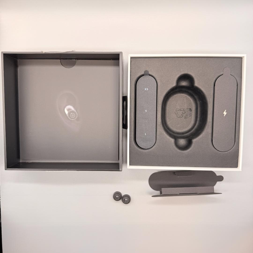 DEVIALET GEMINI LX608 ワイヤレスイヤホン