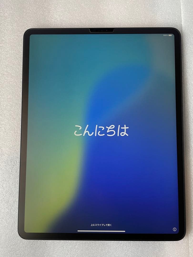 iPad Pro 12.9 Wi-Fi 第4世代 256GB 本体