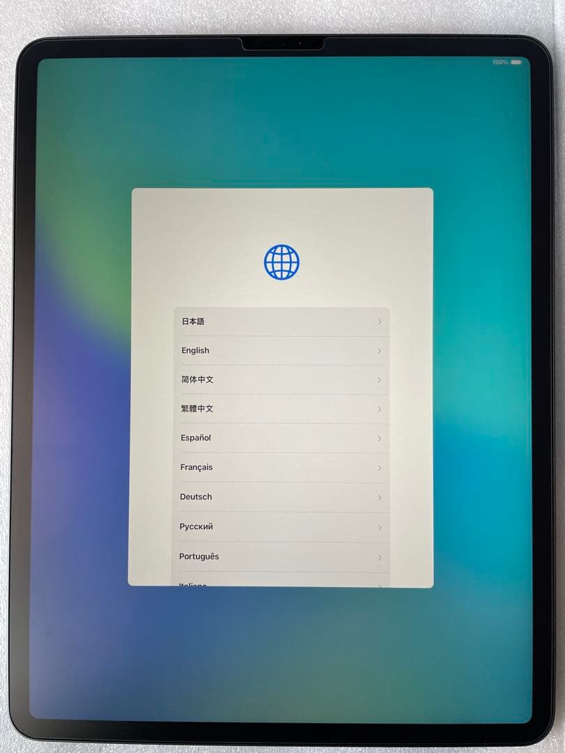 iPad Pro 12.9 Wi-Fi 第4世代 256GB 本体