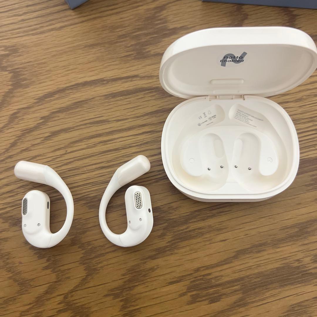 Zenchord 1 美品 AIイヤホン