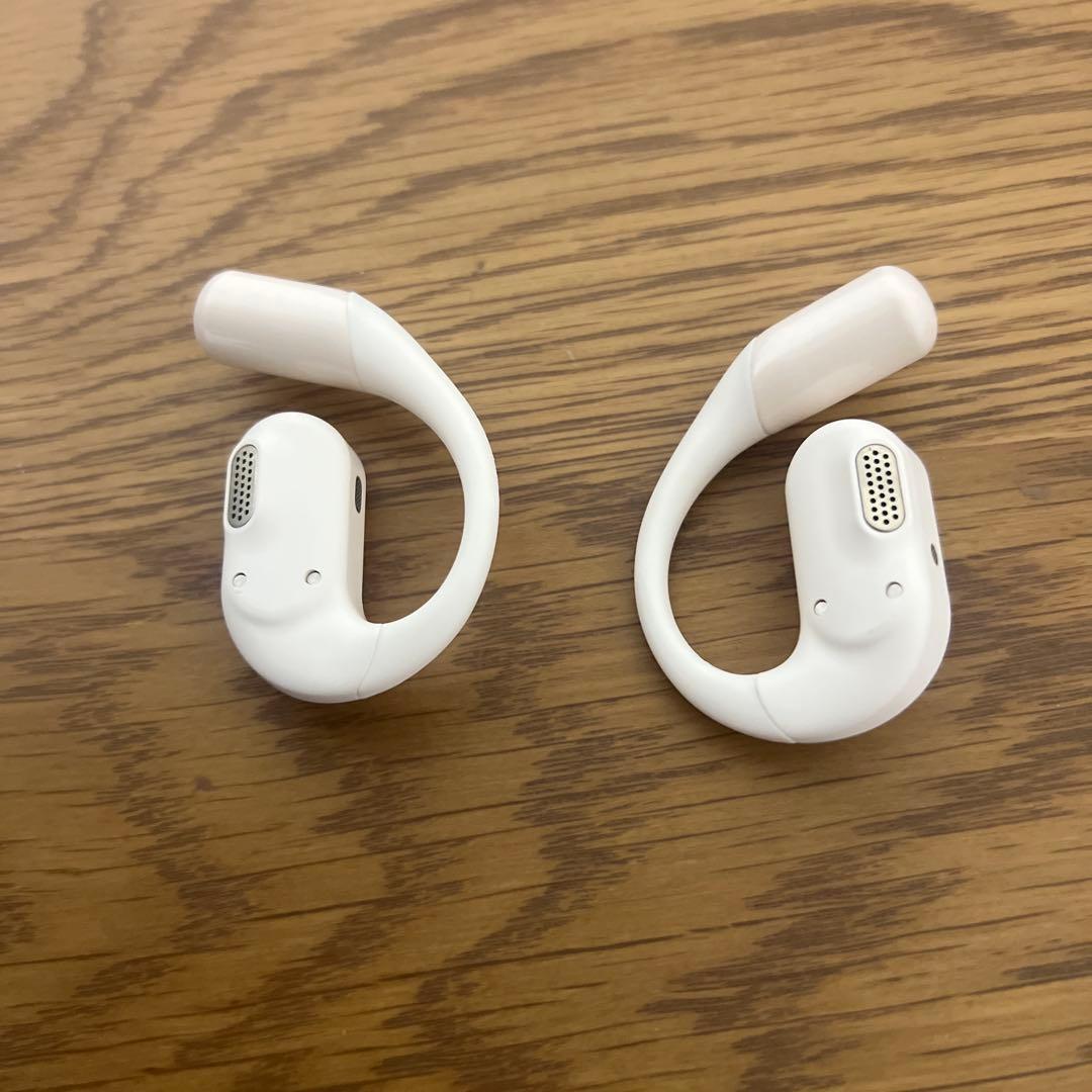 Zenchord 1 美品 AIイヤホン