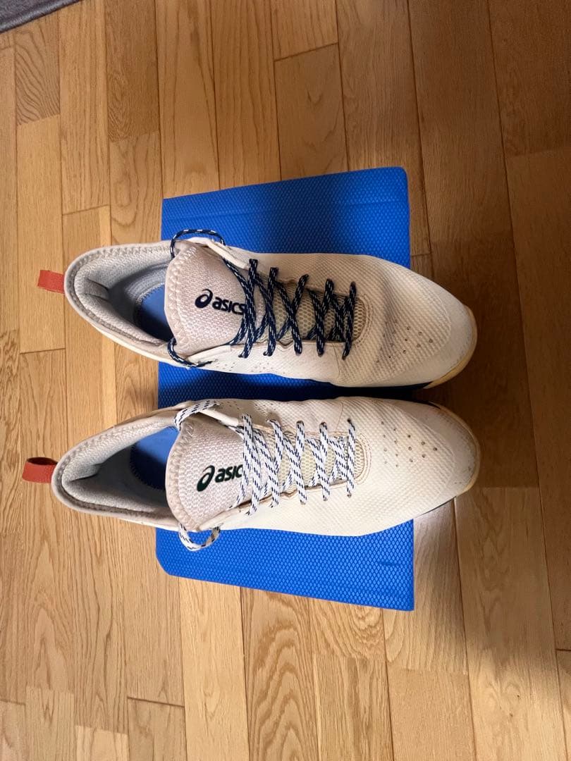 y*i様 グライドノヴァff × ボーラホリック