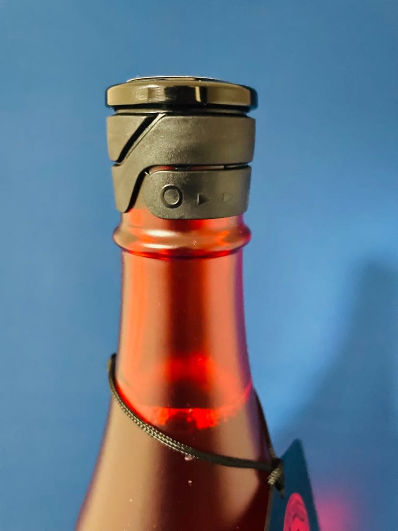 新政　NO.6 New Year Type 2026年