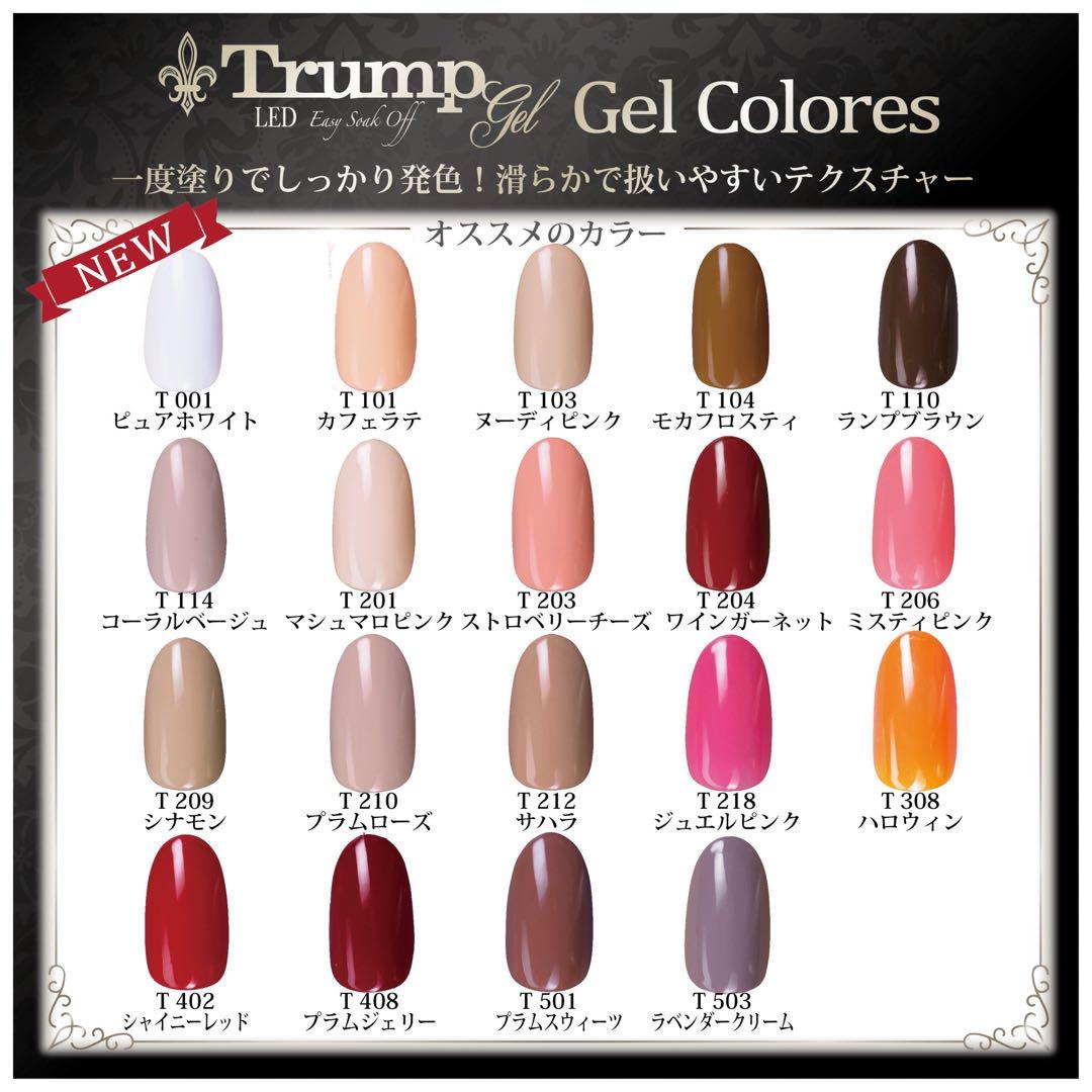 プロフ必読100gバルクセット５色