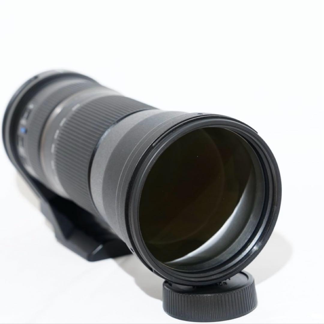 美品 Tamron 150-600mm ニコンFマウント用(Model A011