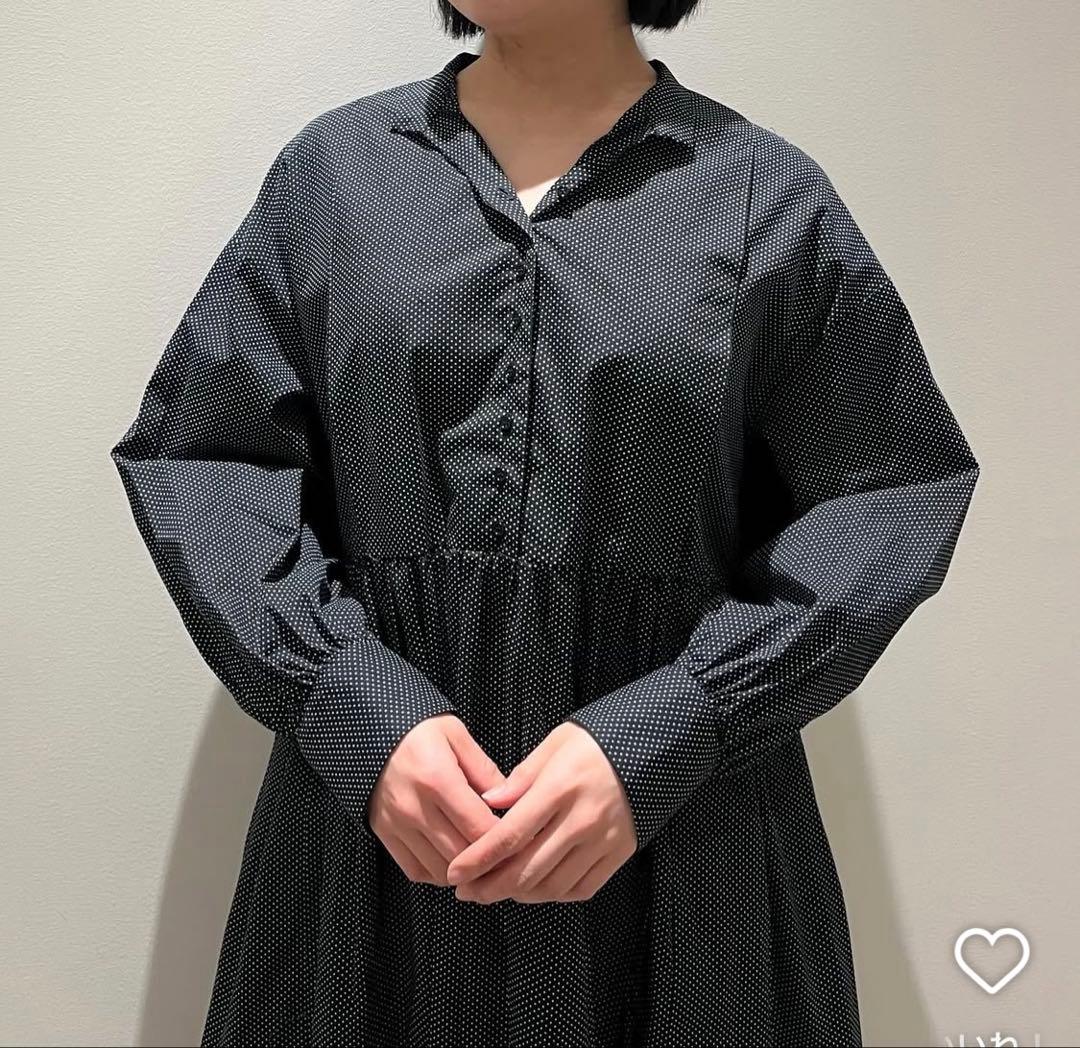 オオカミとフクロウ　フクロウと佇む木々の木漏れ日