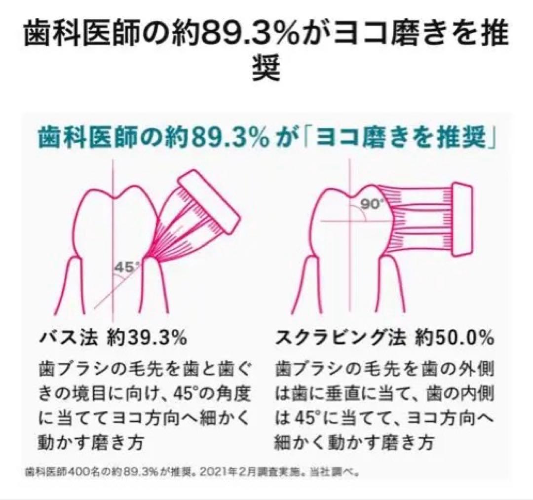 パナソニック 電動歯ブラシ ドルツスタンダードモデル グレー EW-DA46-H