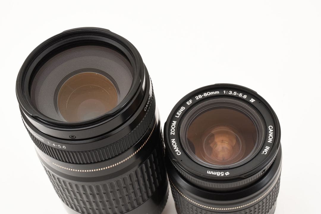 一眼レフカメラ Canon EOS 90D標準&望遠タブルレンズセット