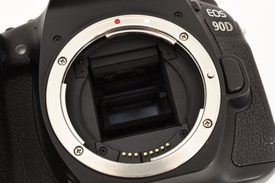 一眼レフカメラ Canon EOS 90D標準&望遠タブルレンズセット