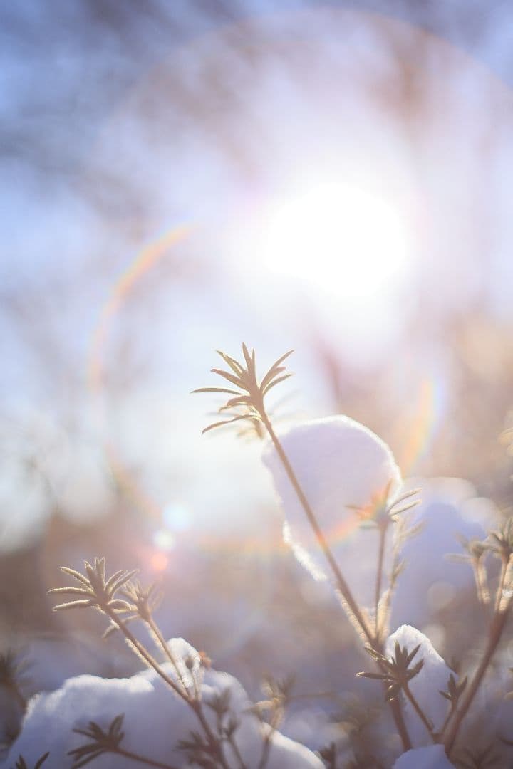 Super-Takumar 55mm F1.8 前期型 S/N：1053586