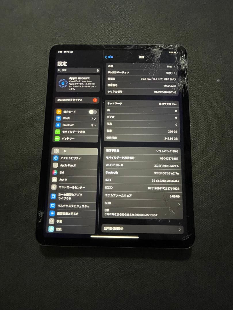 ipad pro 11 2世代　256GB セルラーモデル　完動品