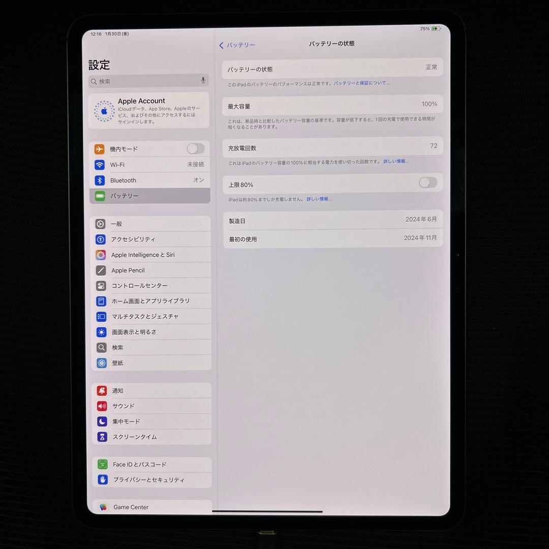 Apple iPad Pro 13 インチ (M4) Wi-Fi 1TB