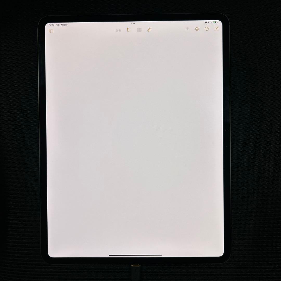 Apple iPad Pro 13 インチ (M4) Wi-Fi 1TB