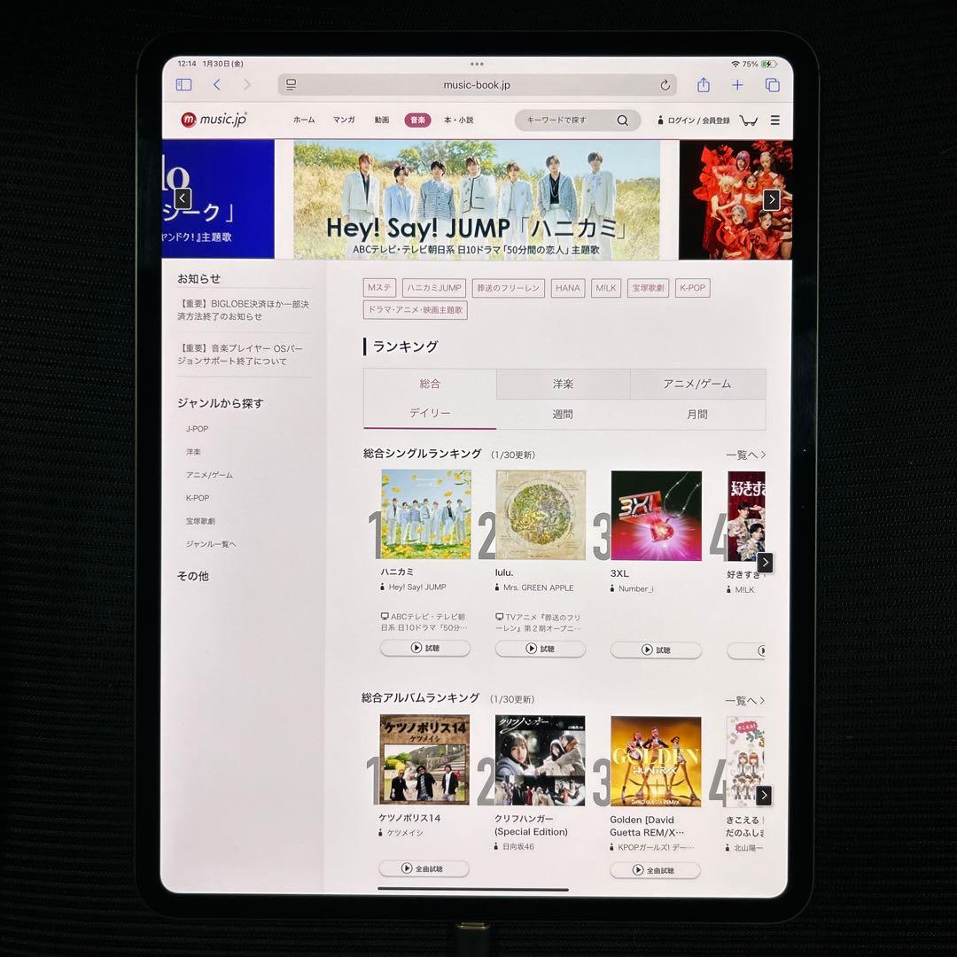 Apple iPad Pro 13 インチ (M4) Wi-Fi 1TB