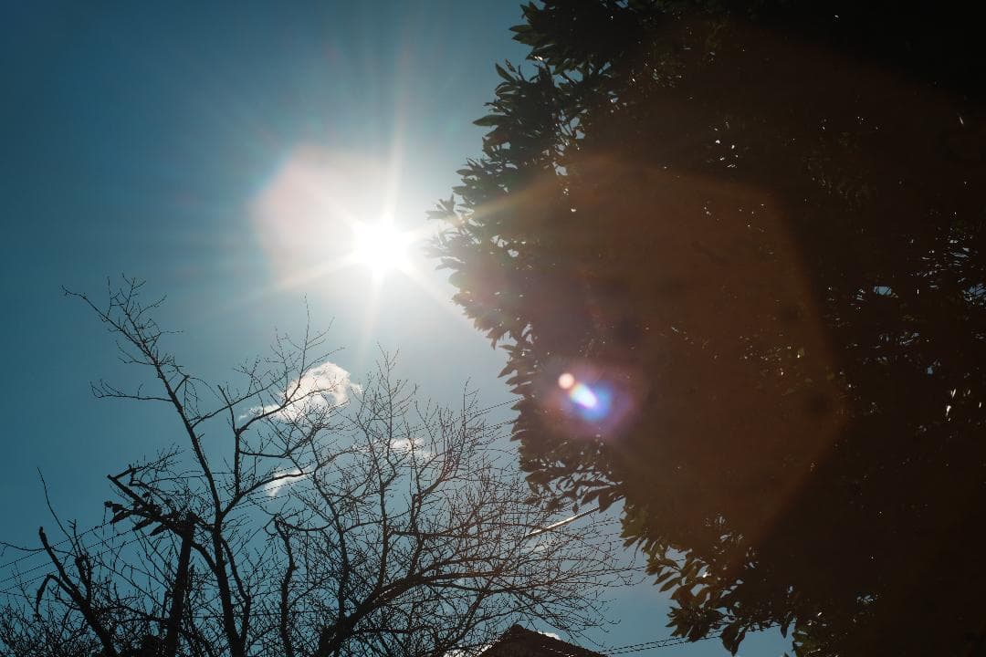 【この値段でライカ級】富岡光学製 XR RIKENON 50mm F2 269