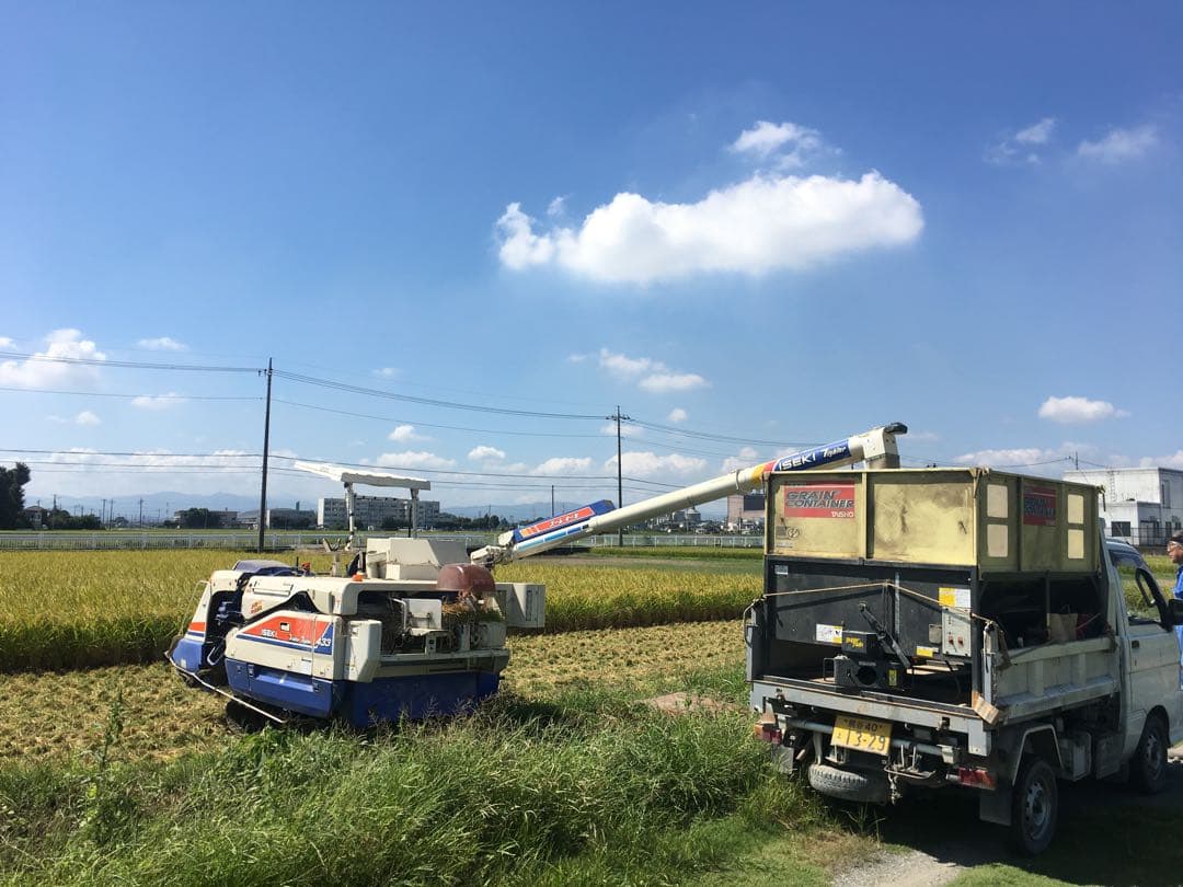 令和7年産　玄米10キロ 彩のきずな　一等米　埼玉県熊谷産　専業農家　白米も可能