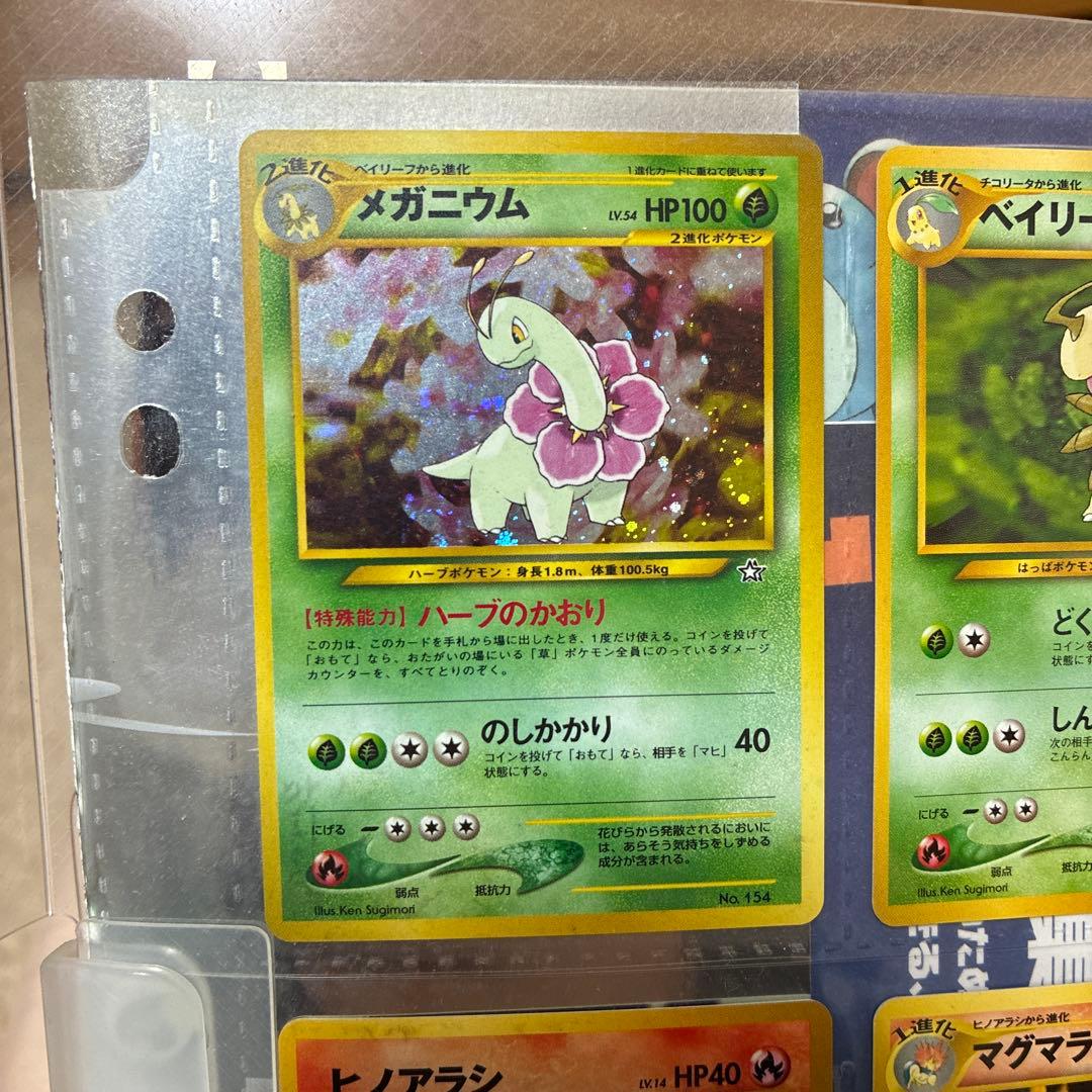 ポケモンカードneo プレミアムファイル