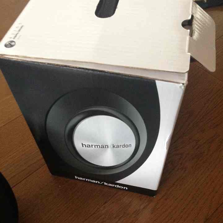 カメレオン様確認  専用