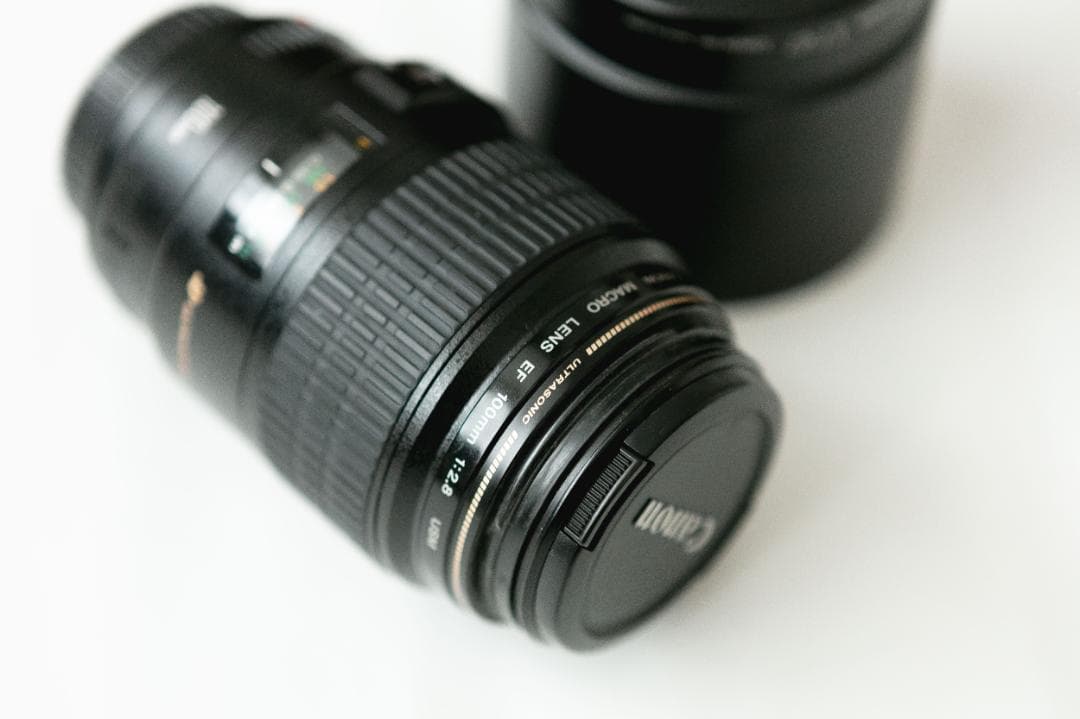 Canon EF100mm F2.8 マクロ USM