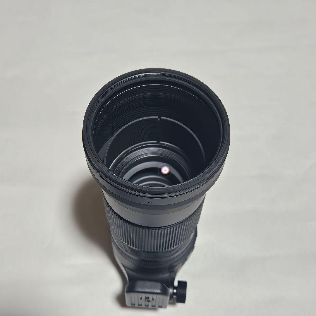 シグマ150-600mm Contemporary キヤノンEFマウント